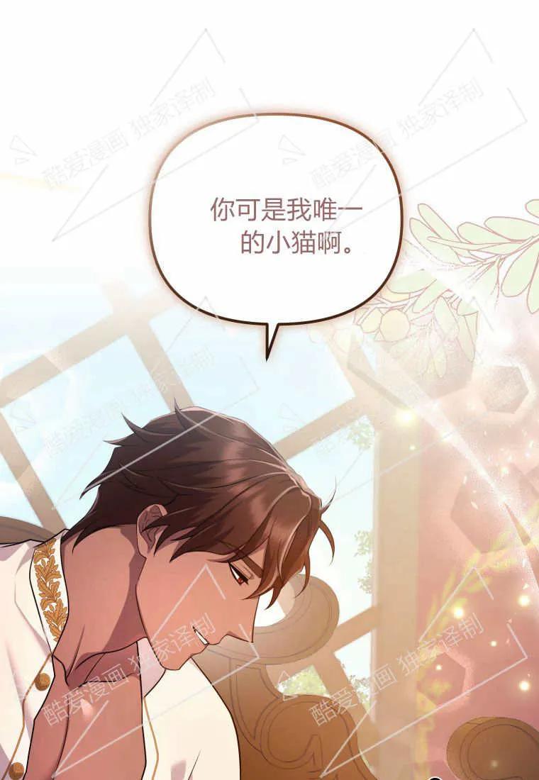 成为苏尔坦珍爱的猫咪 第07话 第43页
