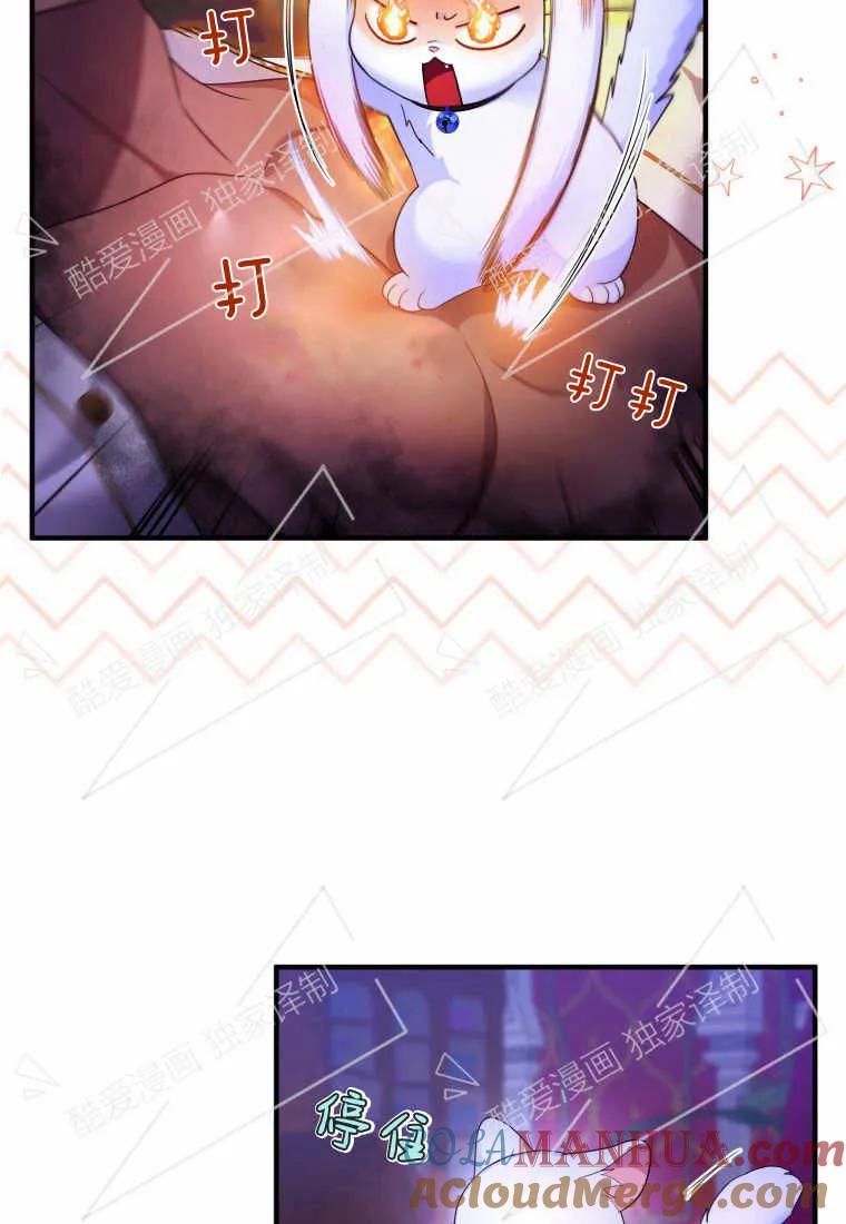 成为苏尔坦珍爱的猫咪 第07话 第3页