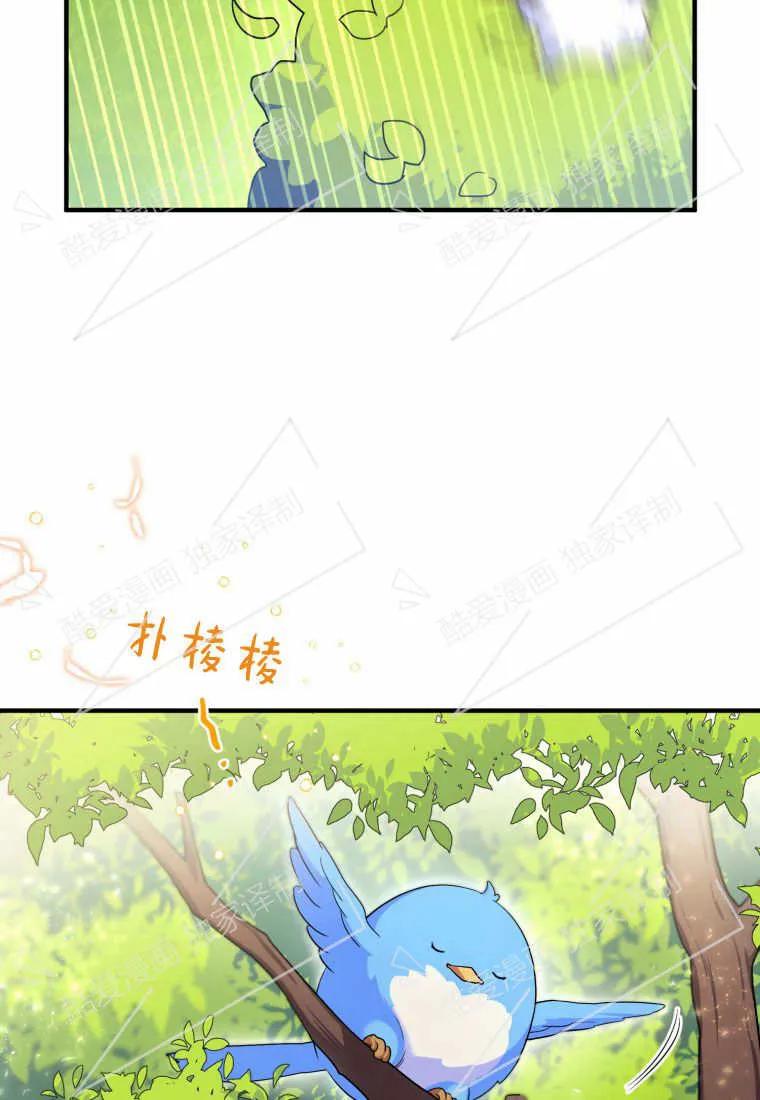 成为苏尔坦珍爱的猫咪 第07话 第71页