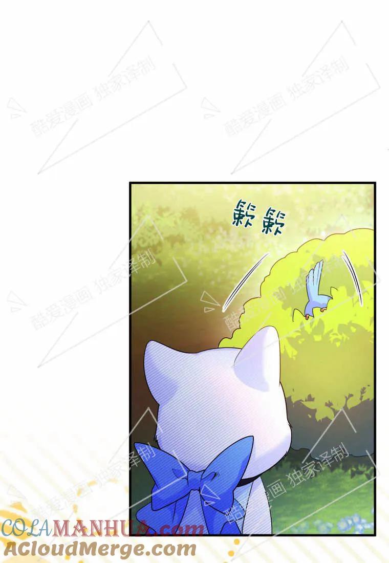 成为苏尔坦珍爱的猫咪 第07话 第66页