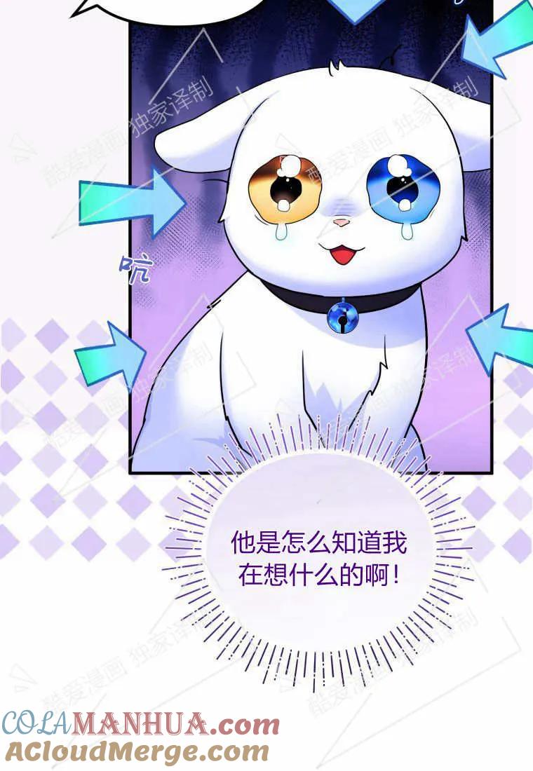 成为苏尔坦珍爱的猫咪 第07话 第42页