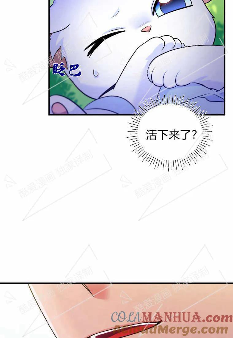 成为苏尔坦珍爱的猫咪 第07话 第84页