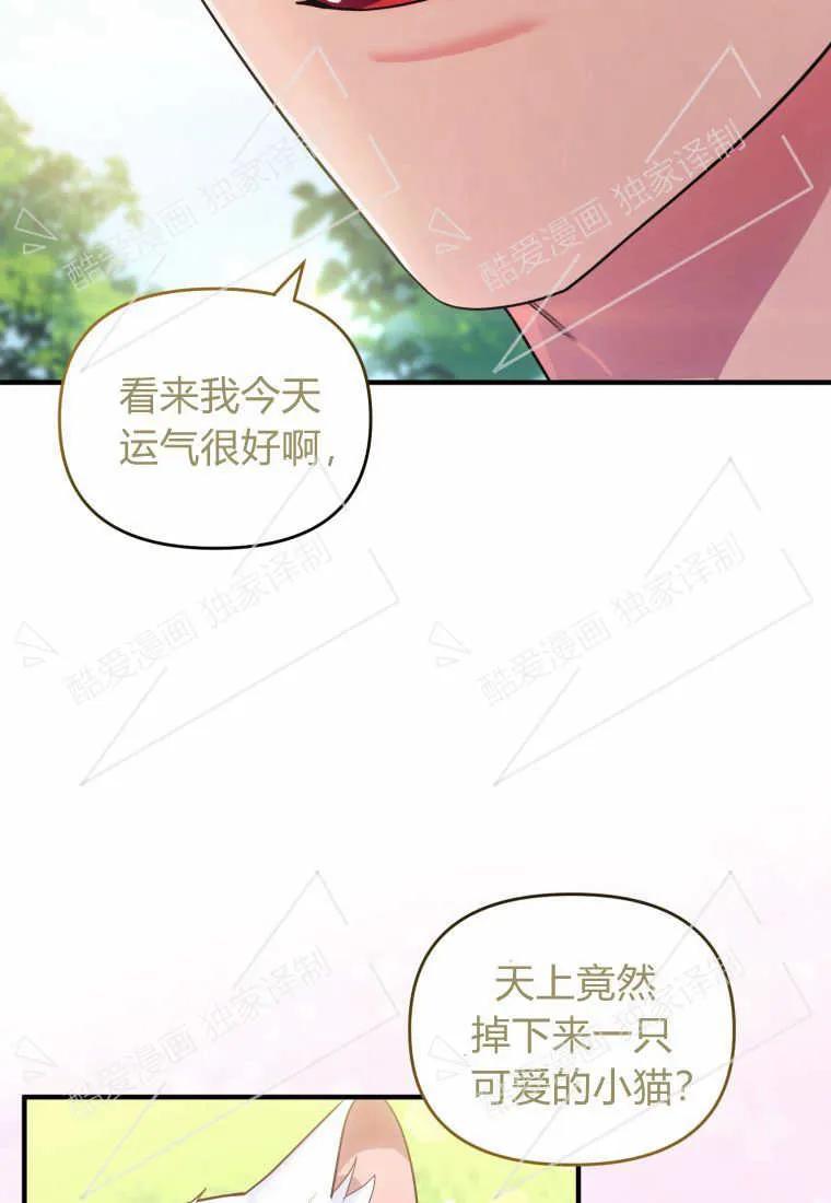成为苏尔坦珍爱的猫咪 第07话 第85页