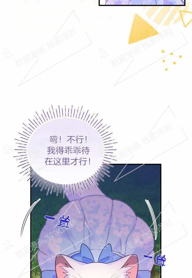 成为苏尔坦珍爱的猫咪 第07话 第68页