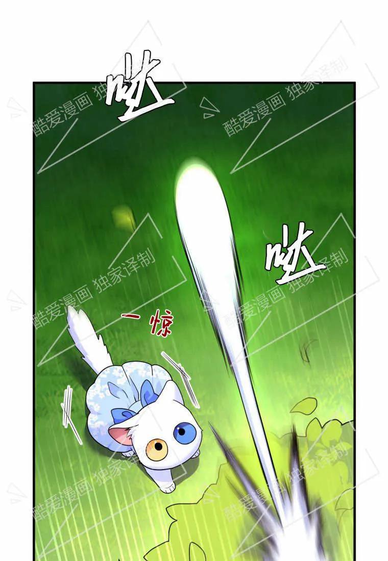 成为苏尔坦珍爱的猫咪 第07话 第70页