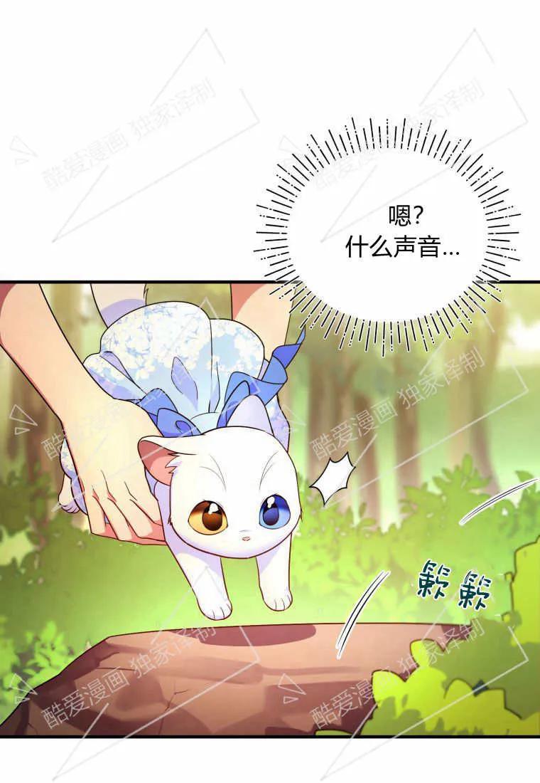 成为苏尔坦珍爱的猫咪 第07话 第65页