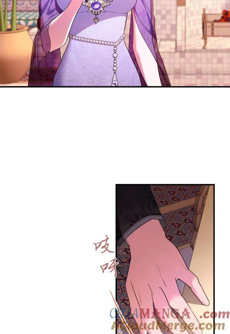 成为苏尔坦珍爱的猫咪 第71话 第28页