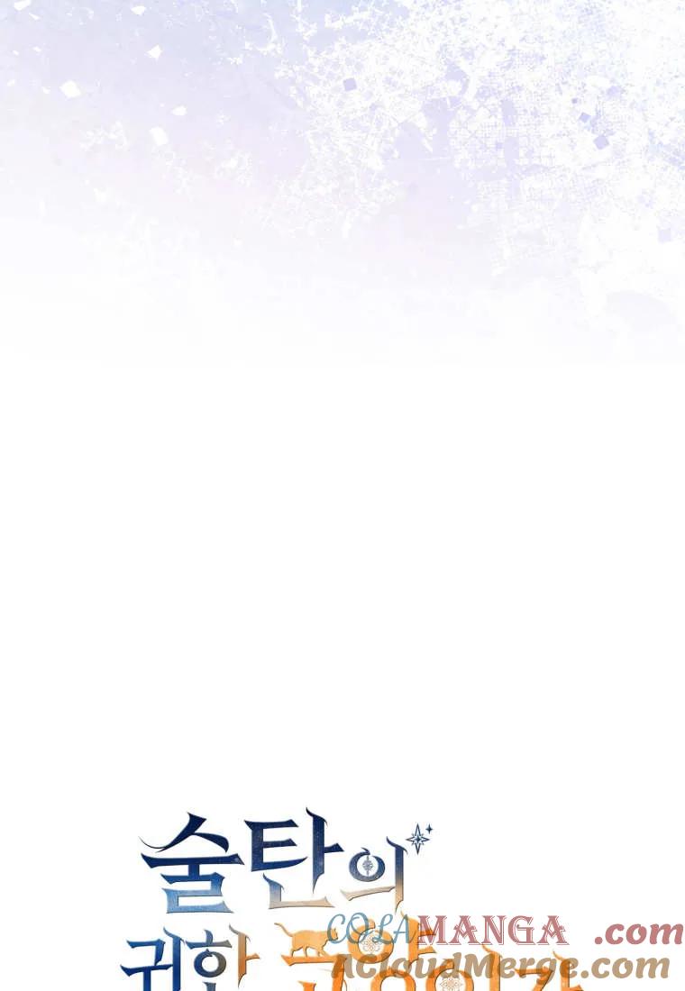 成为苏尔坦珍爱的猫咪 第71话 第25页