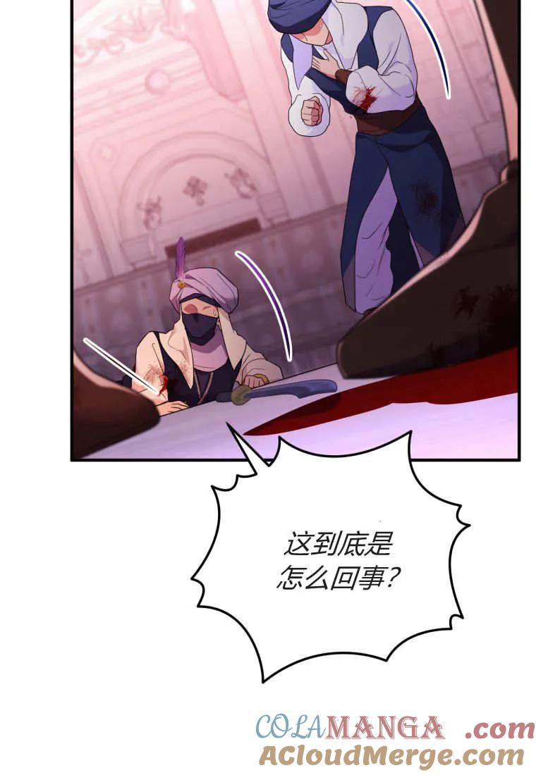 成为苏尔坦珍爱的猫咪 第73话 第73页