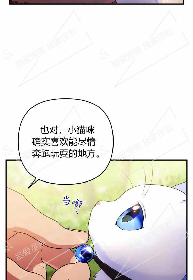 成为苏尔坦珍爱的猫咪 第08话 第17页