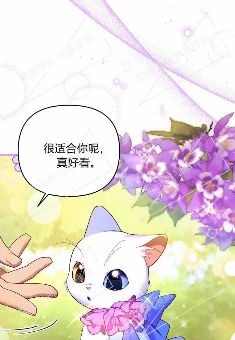 成为苏尔坦珍爱的猫咪 第08话 第36页