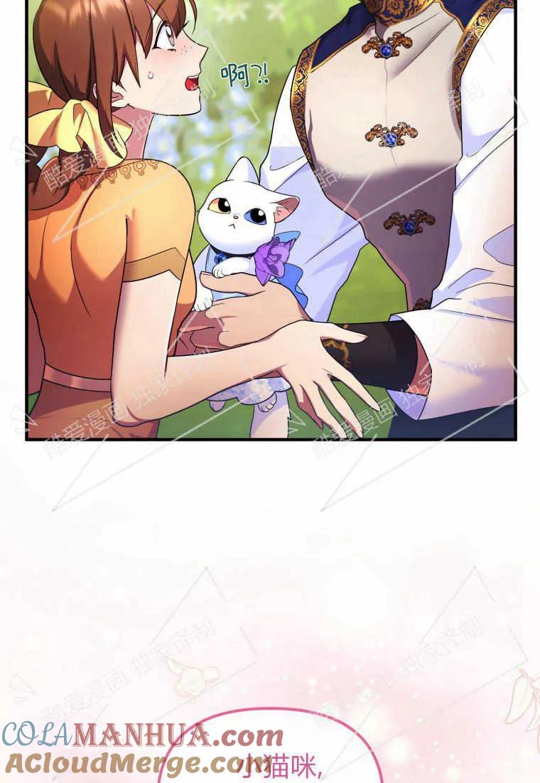 成为苏尔坦珍爱的猫咪 第08话 第46页