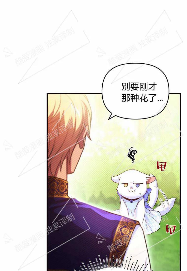 成为苏尔坦珍爱的猫咪 第08话 第32页
