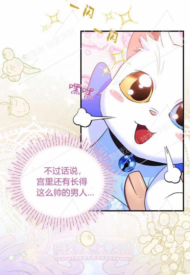 成为苏尔坦珍爱的猫咪 第08话 第5页