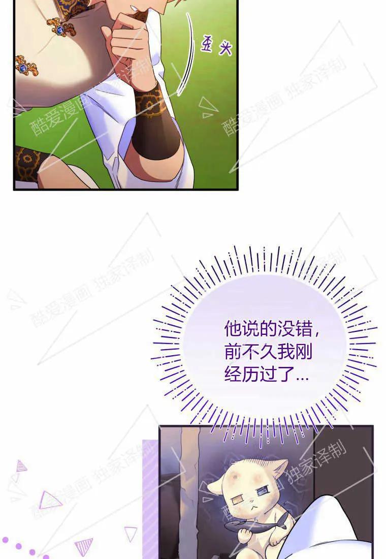 成为苏尔坦珍爱的猫咪 第08话 第14页