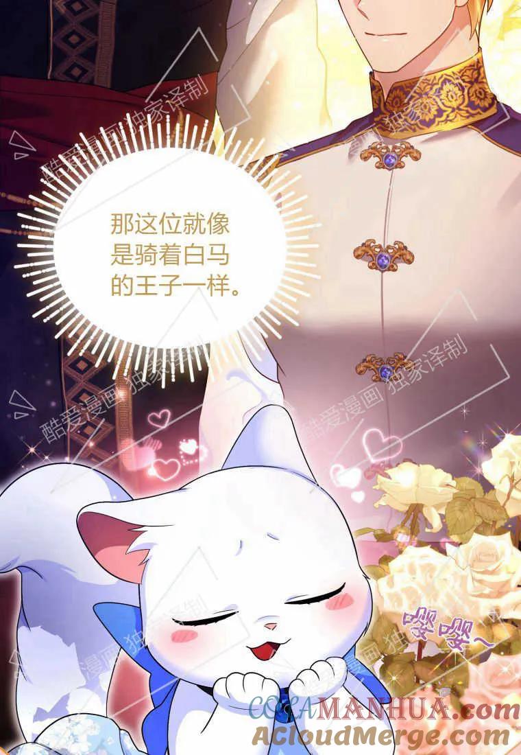成为苏尔坦珍爱的猫咪 第08话 第7页