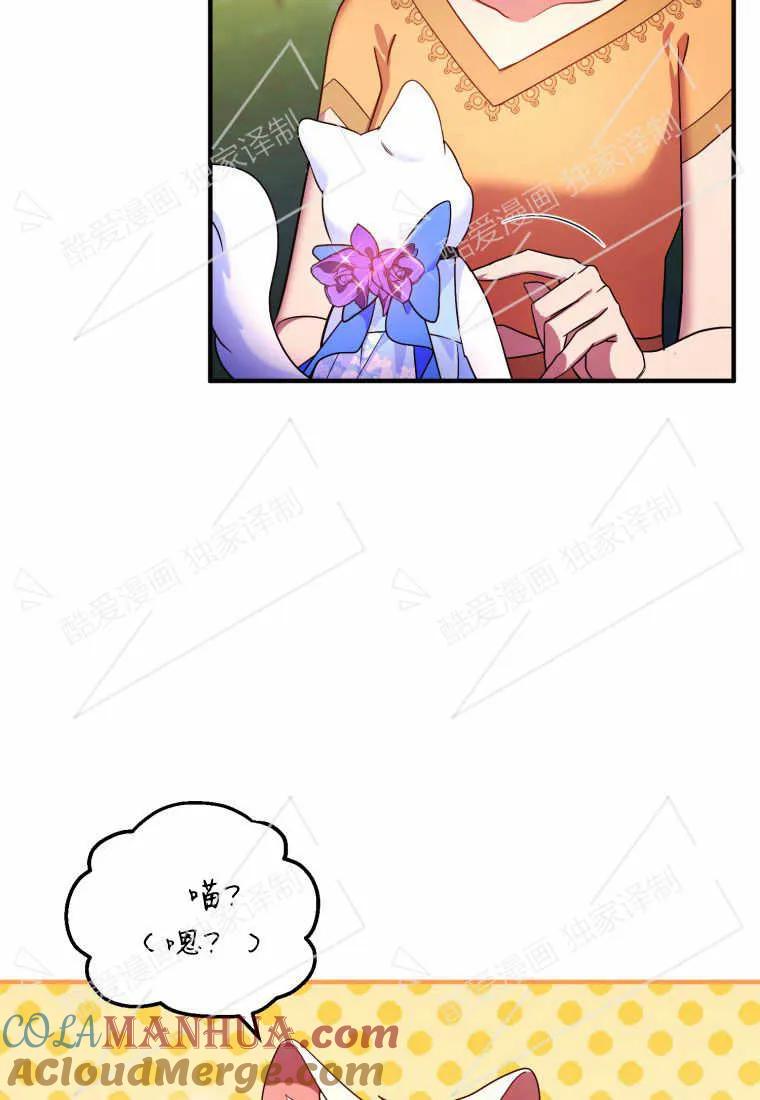 成为苏尔坦珍爱的猫咪 第08话 第61页