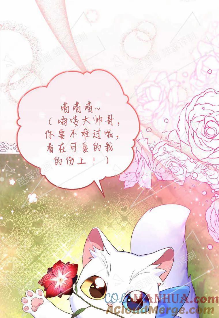 成为苏尔坦珍爱的猫咪 第08话 第25页