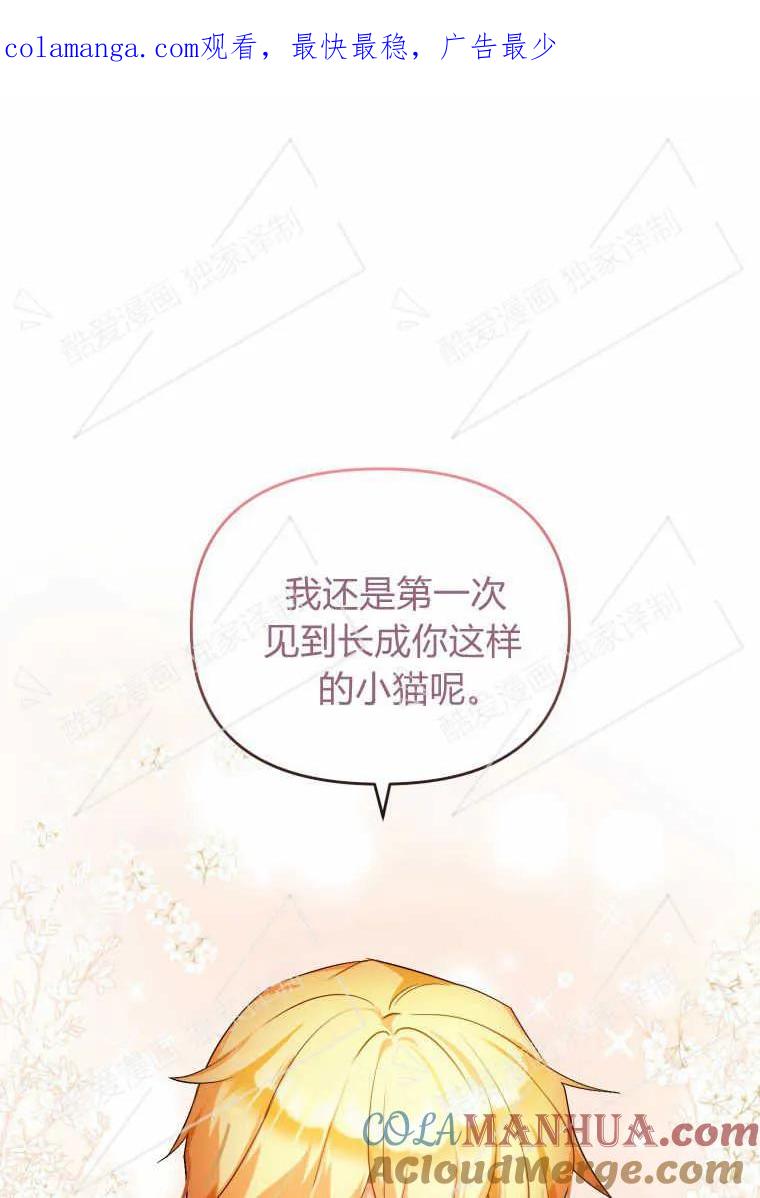 成为苏尔坦珍爱的猫咪 第08话 第1页