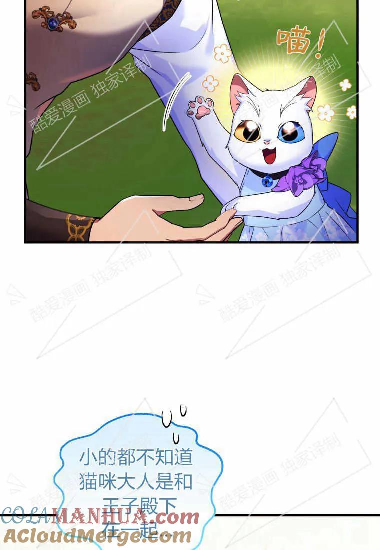 成为苏尔坦珍爱的猫咪 第08话 第43页