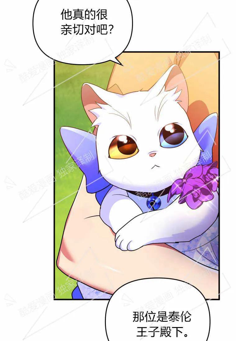 成为苏尔坦珍爱的猫咪 第08话 第51页