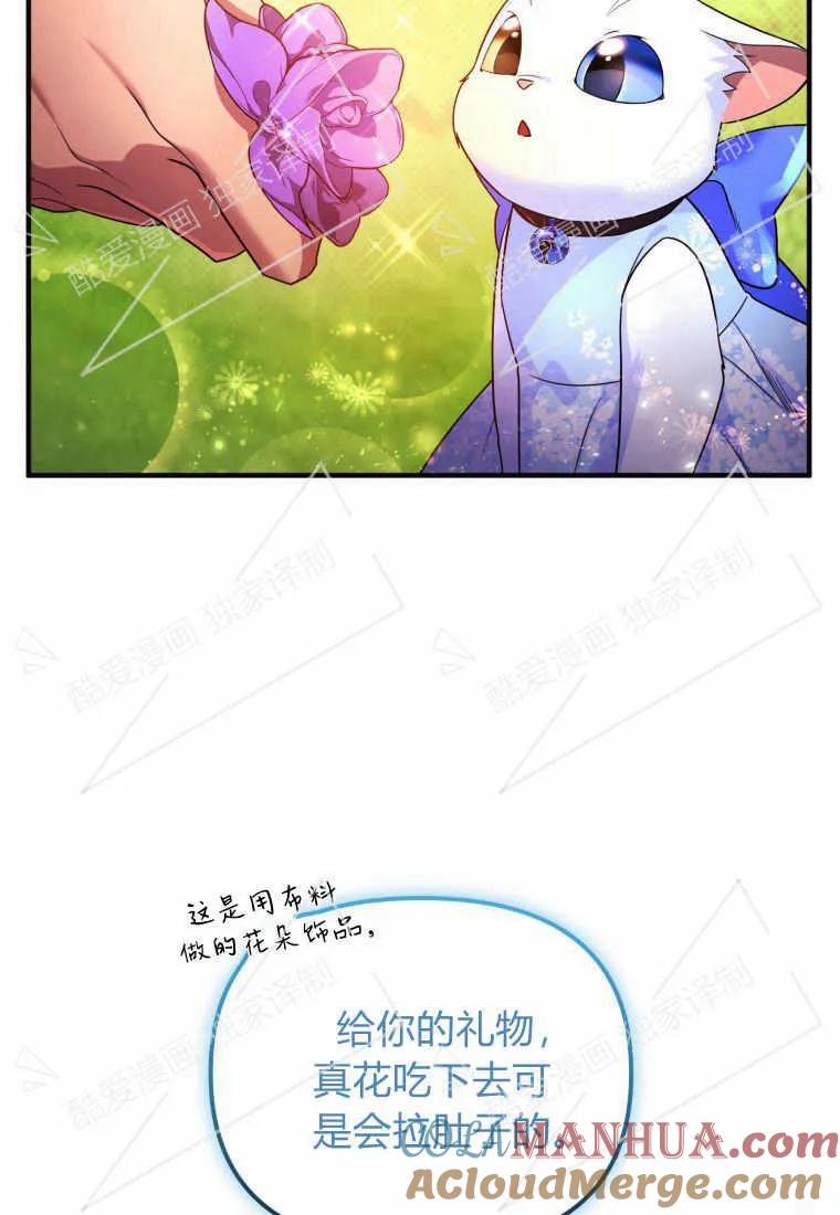 成为苏尔坦珍爱的猫咪 第08话 第34页