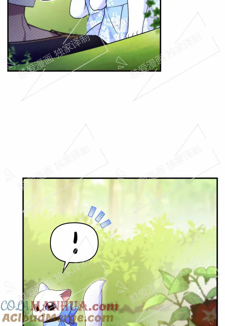 成为苏尔坦珍爱的猫咪 第08话 第22页