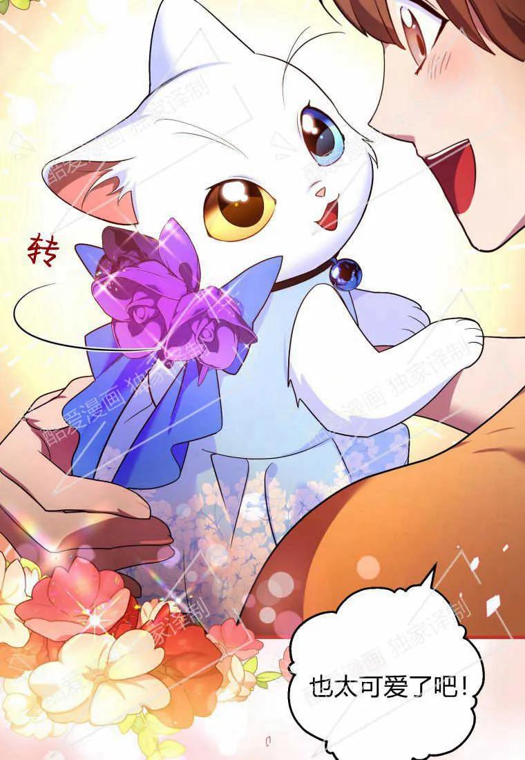 成为苏尔坦珍爱的猫咪 第08话 第59页