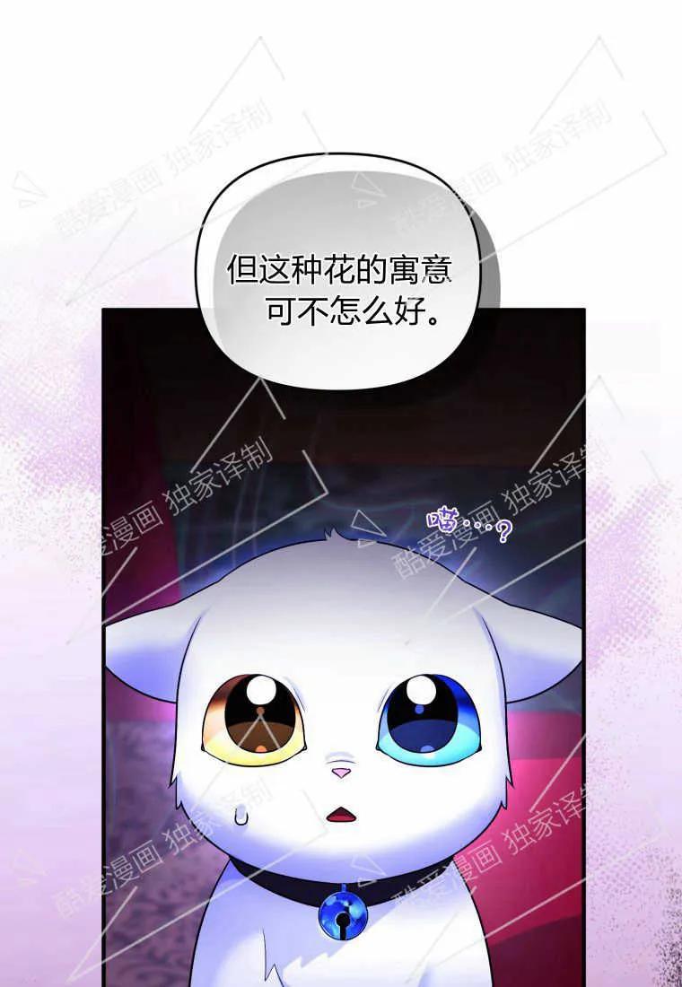 成为苏尔坦珍爱的猫咪 第08话 第92页