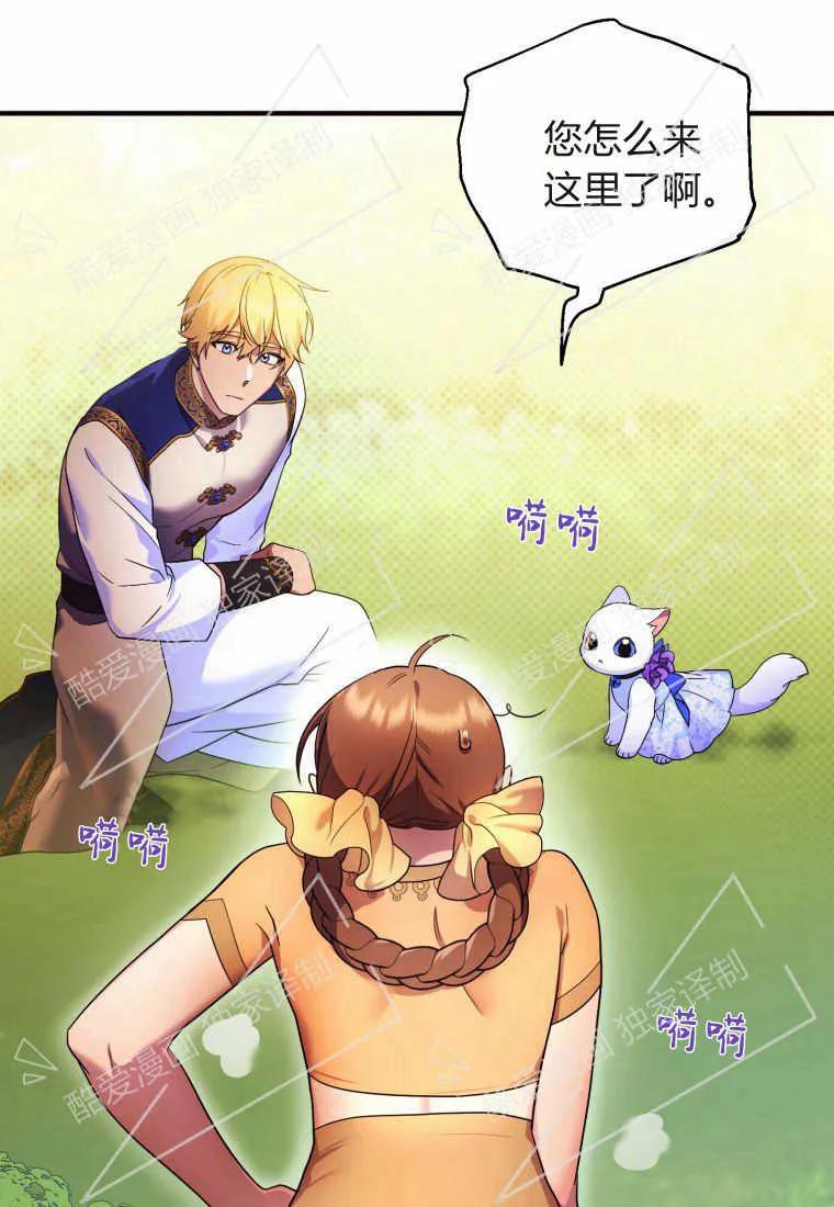 成为苏尔坦珍爱的猫咪 第08话 第39页
