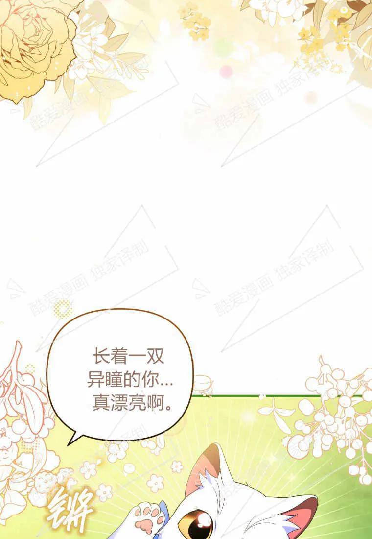 成为苏尔坦珍爱的猫咪 第08话 第3页