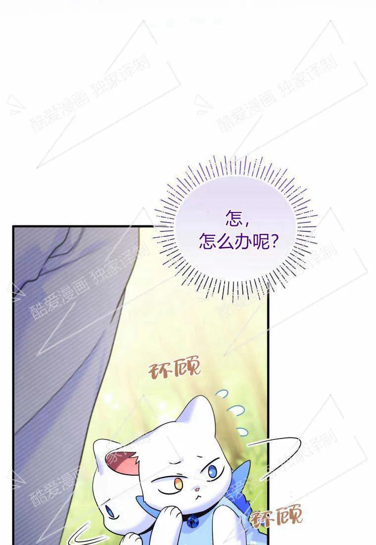 成为苏尔坦珍爱的猫咪 第08话 第21页