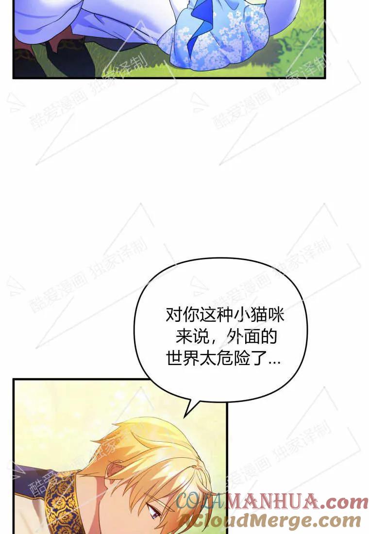 成为苏尔坦珍爱的猫咪 第08话 第13页