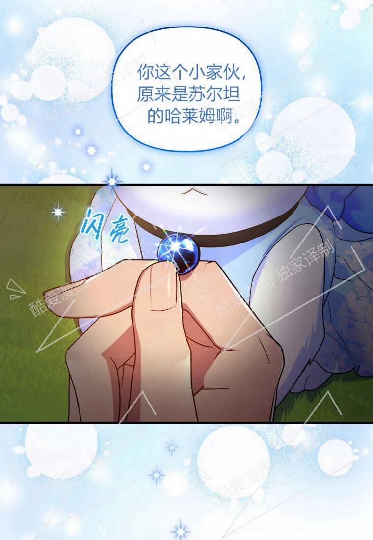成为苏尔坦珍爱的猫咪 第08话 第11页