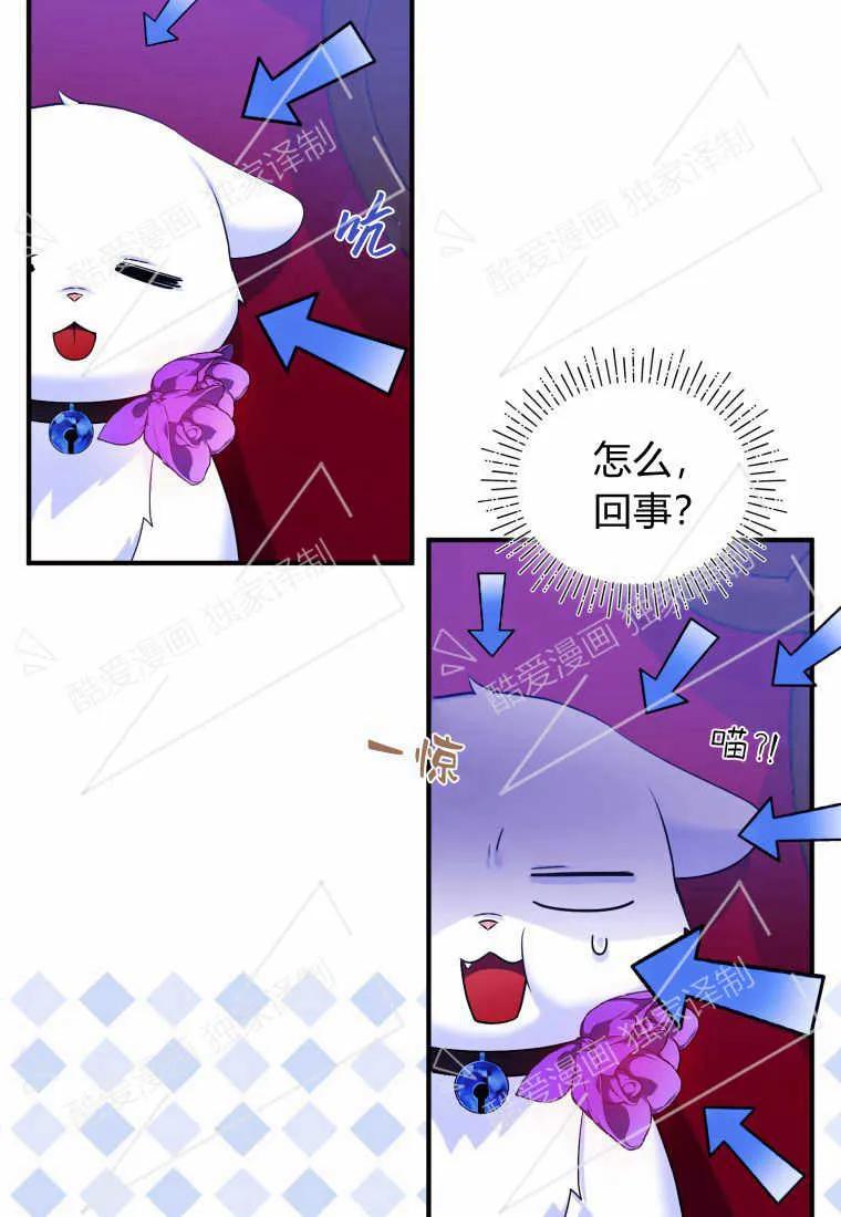 成为苏尔坦珍爱的猫咪 第08话 第71页