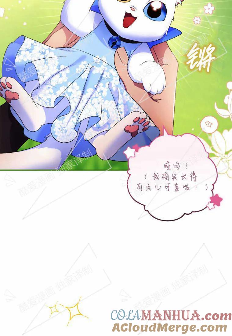 成为苏尔坦珍爱的猫咪 第08话 第4页
