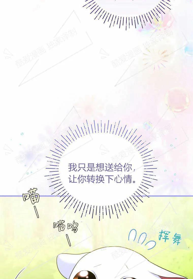 成为苏尔坦珍爱的猫咪 第08话 第29页