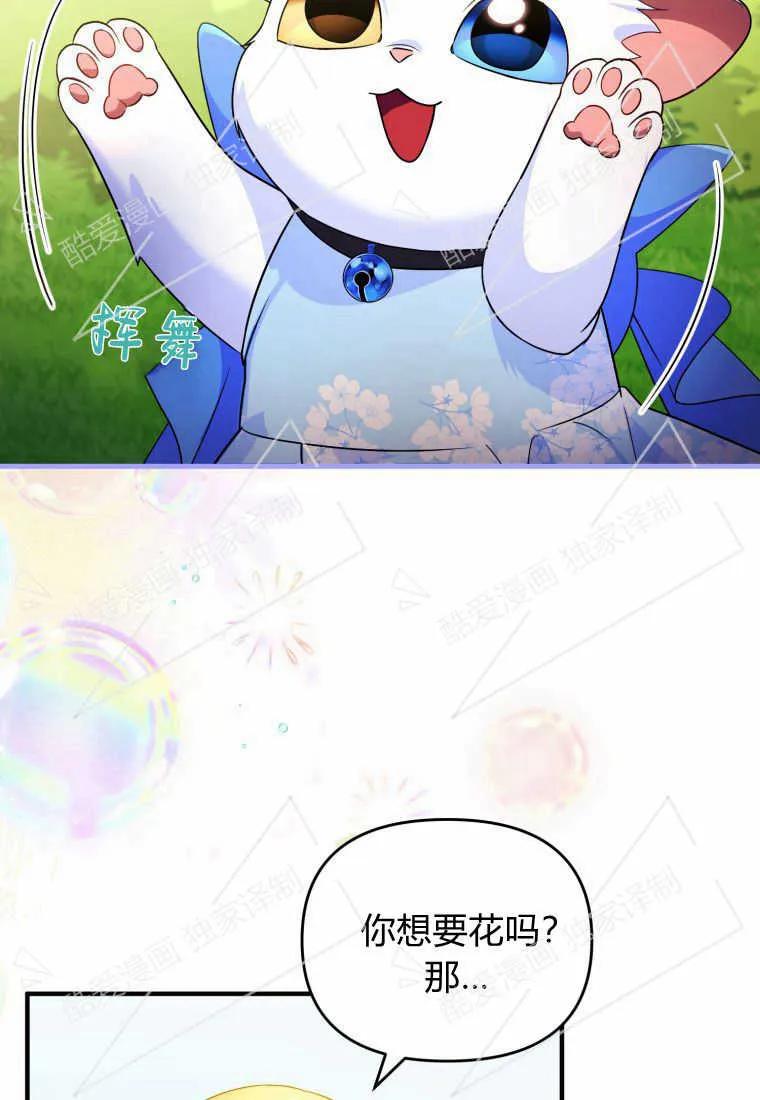 成为苏尔坦珍爱的猫咪 第08话 第30页
