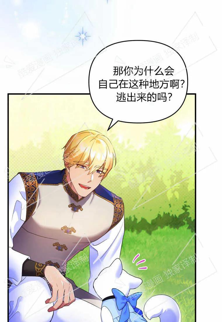 成为苏尔坦珍爱的猫咪 第08话 第12页