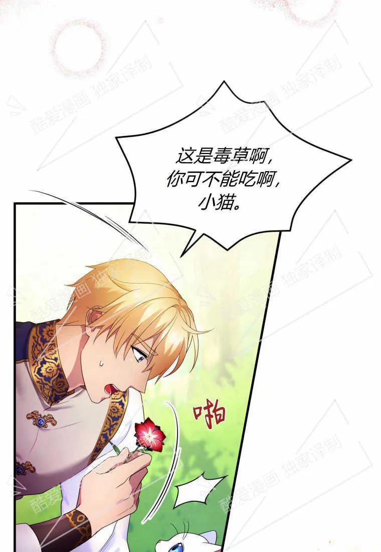 成为苏尔坦珍爱的猫咪 第08话 第27页