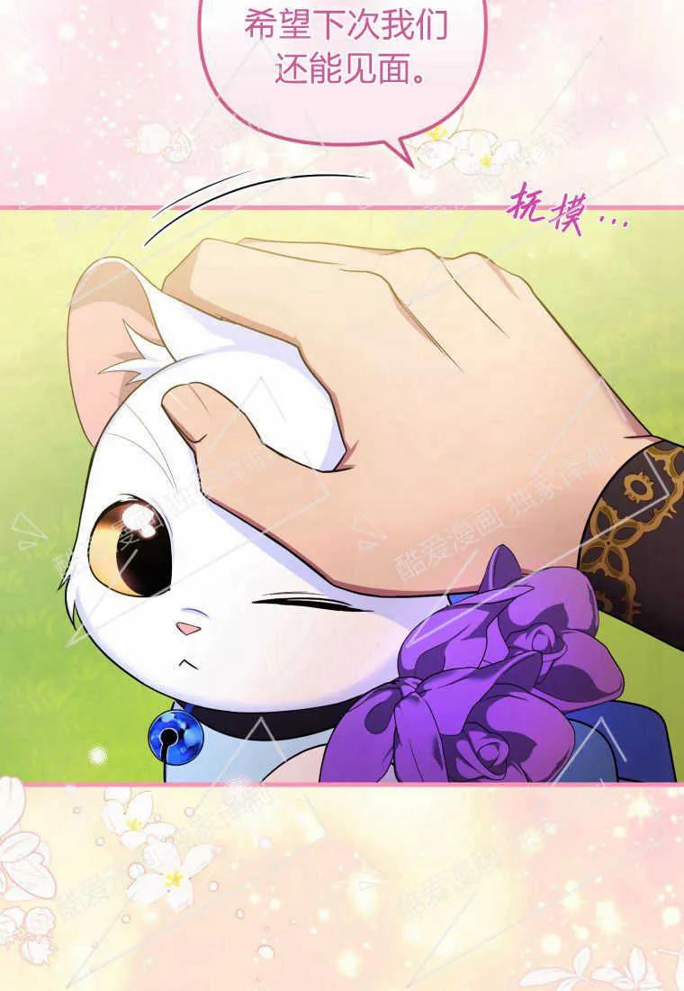 成为苏尔坦珍爱的猫咪 第08话 第47页