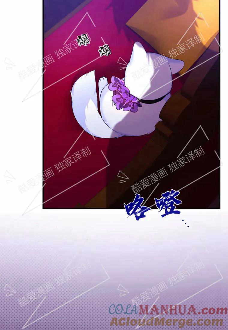成为苏尔坦珍爱的猫咪 第08话 第76页