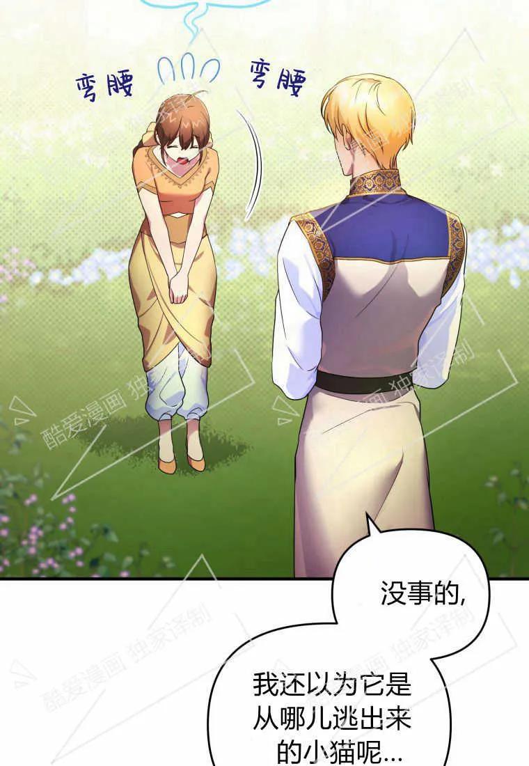 成为苏尔坦珍爱的猫咪 第08话 第44页