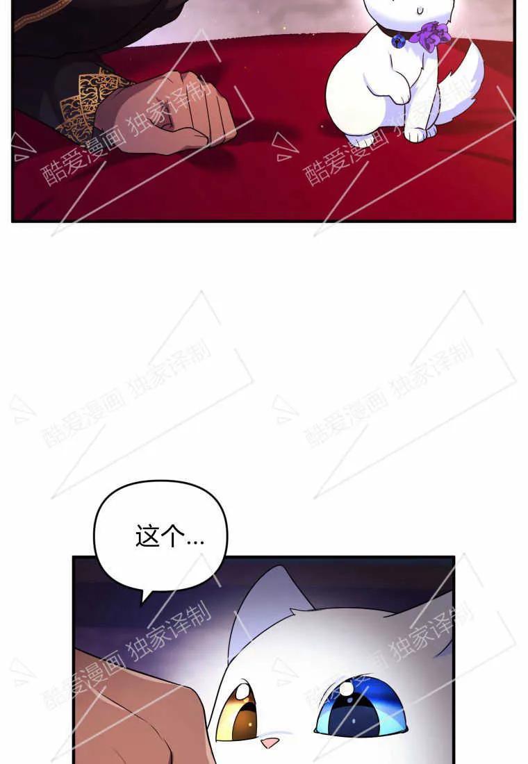 成为苏尔坦珍爱的猫咪 第08话 第87页