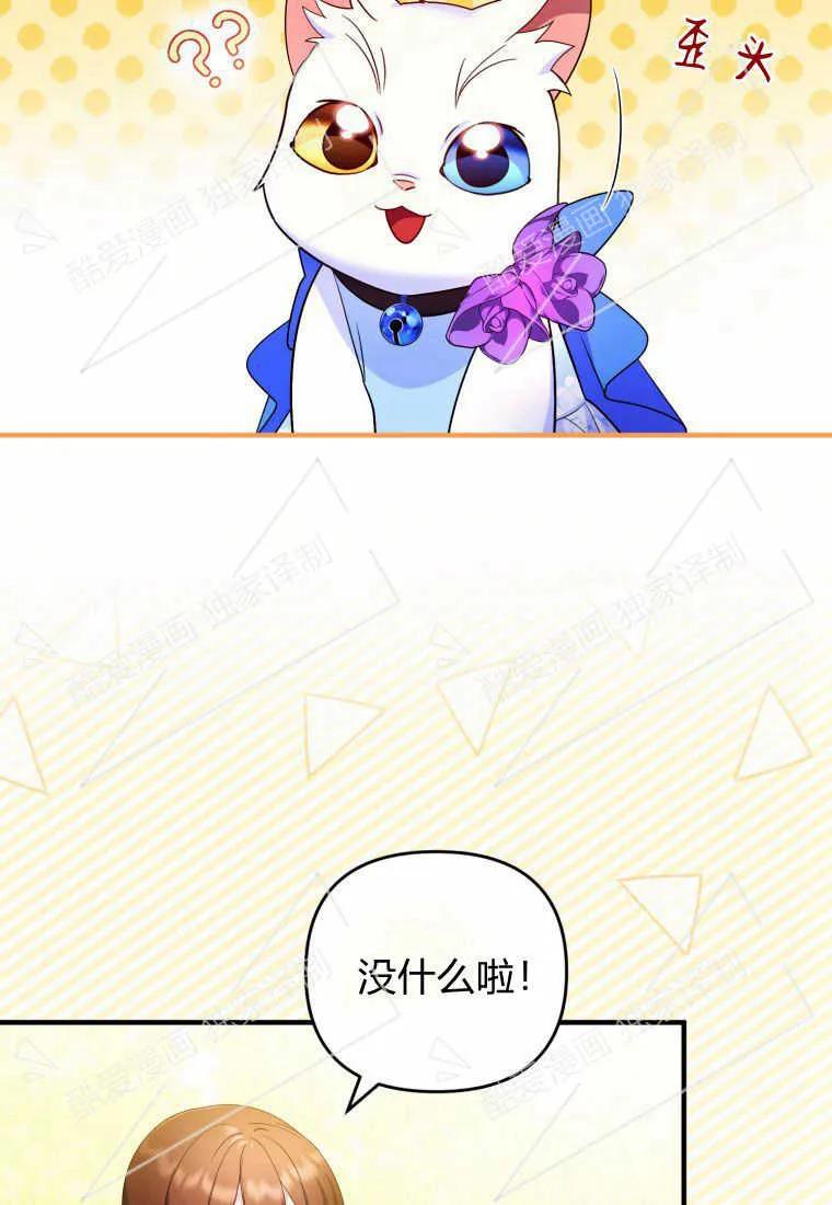 成为苏尔坦珍爱的猫咪 第08话 第62页