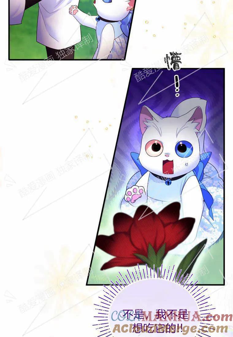 成为苏尔坦珍爱的猫咪 第08话 第28页