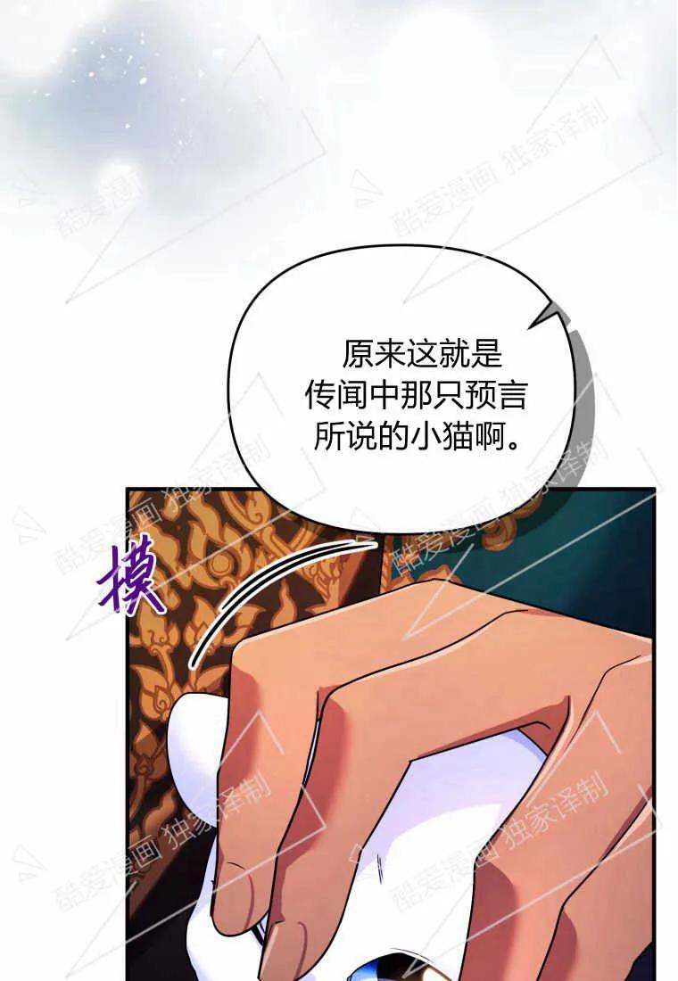 成为苏尔坦珍爱的猫咪 第09话 第66页