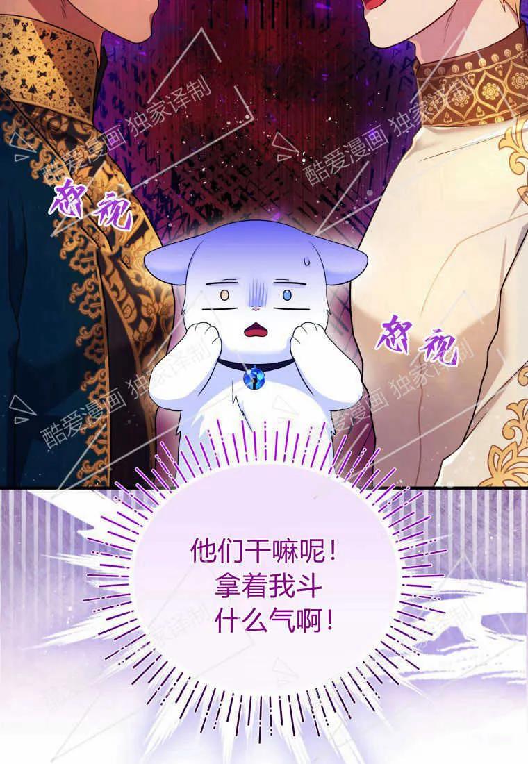 成为苏尔坦珍爱的猫咪 第09话 第62页