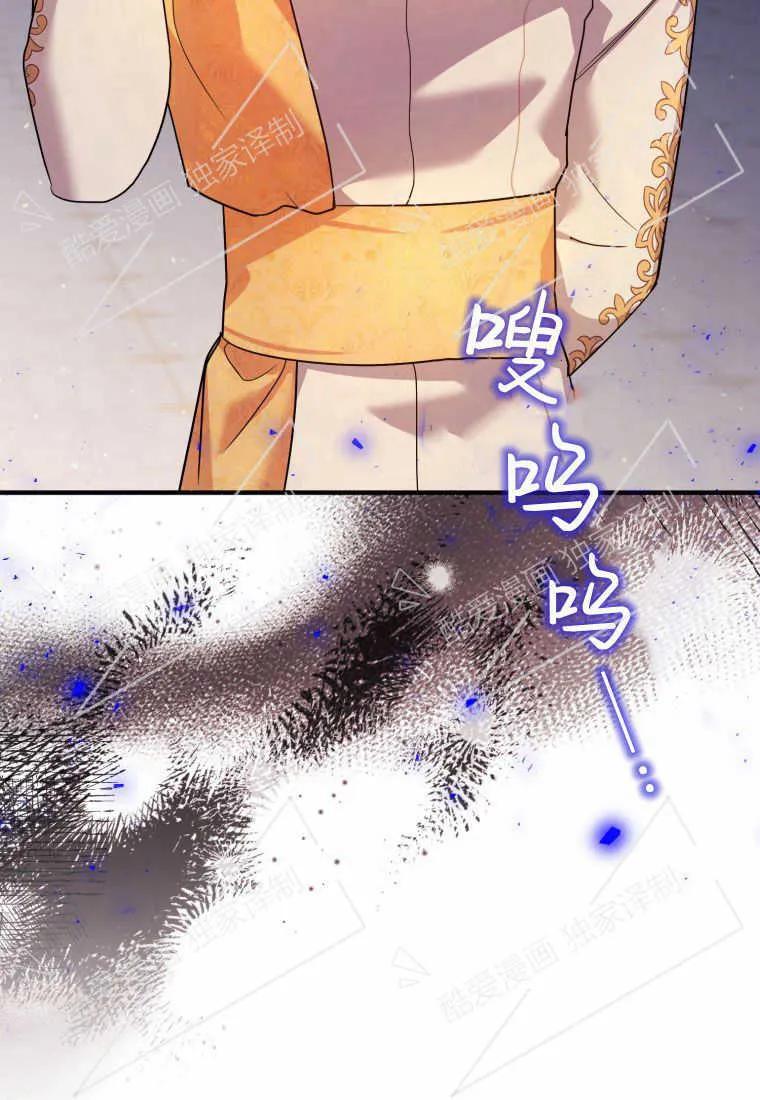 成为苏尔坦珍爱的猫咪 第09话 第98页