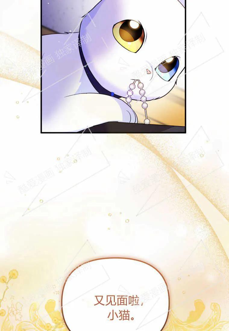 成为苏尔坦珍爱的猫咪 第09话 第37页